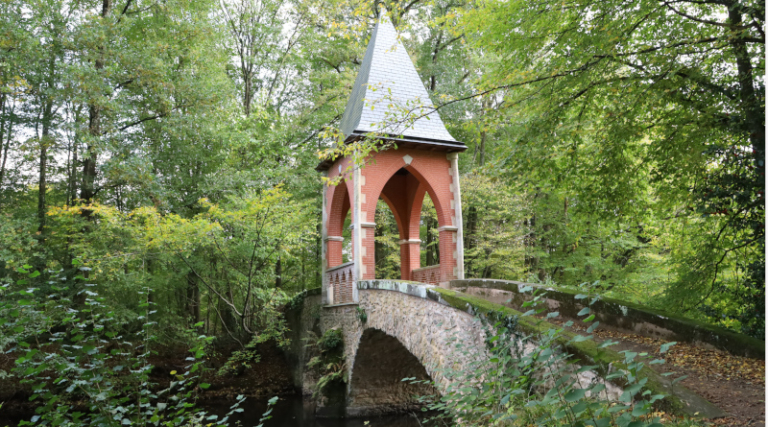 Réserve naturelle des etangs de Bonnelles LC M'Essonne(12)