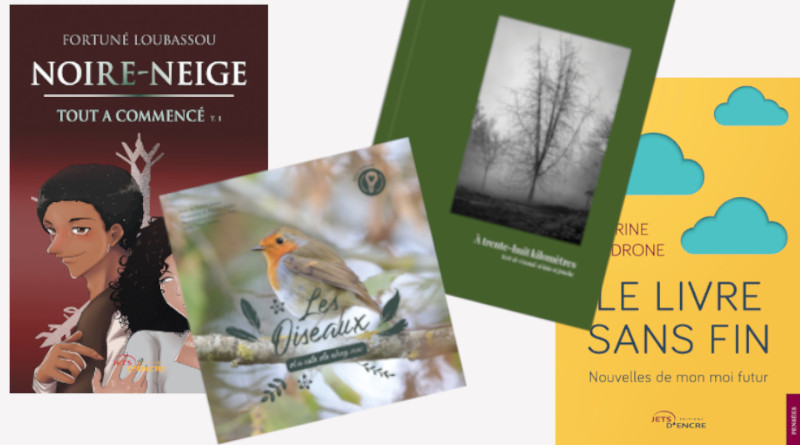 Couverture livres noel 2020