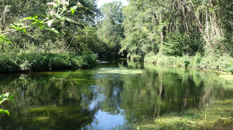 L'Essonne dans le Gâtinais. Photo LC-M'Essonne