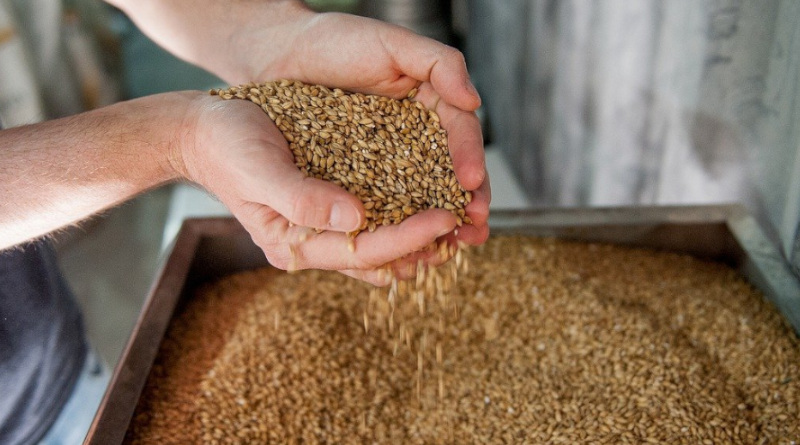 Malt d'orge