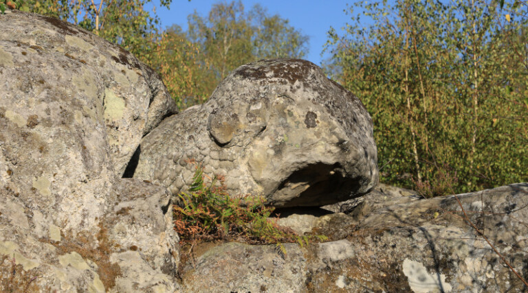 Les formes fantasmagoriques des blocs de grès à la forêt des Grands Avaux de Champcueil. Photo LC- M'Essonne