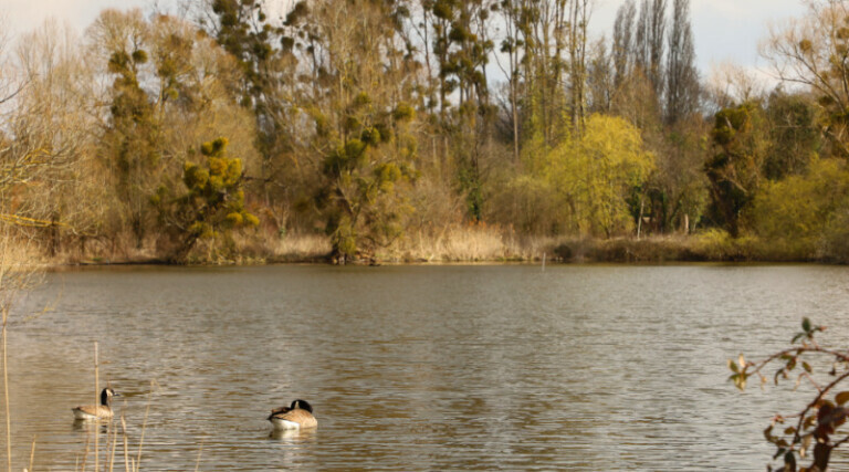 Les marais d'Itteville. Photo LC - M'Essonne
