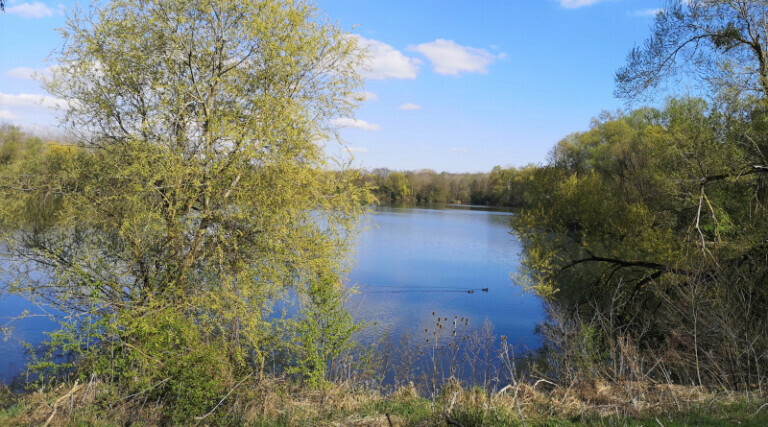 Bassin de Trévoix Ollainville photo LC-MEssonne