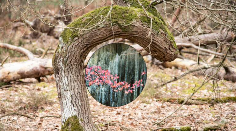 Musée en plein air par le photographe Quentin Kheyap. Photo Quentin Kheyap