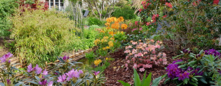 Avec près de 500 variétés de plantes, le jardin de la tourbière à Baulne ouvre ses portes.