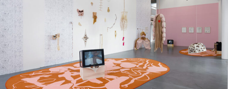 Exposition Bestiario de lenguitas par Mercedes Azpilicuitas au CAC de Brétigny.