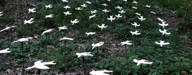 Les oiseaux se dessinent dans les sous-bois en une illusion presque réelle.