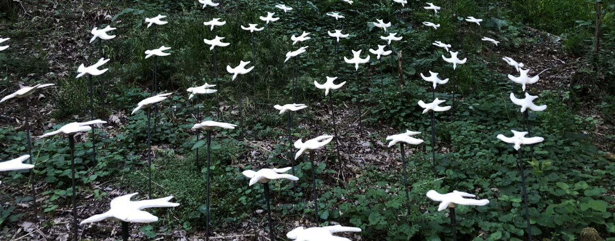 Les oiseaux se dessinent dans les sous-bois en une illusion presque réelle.