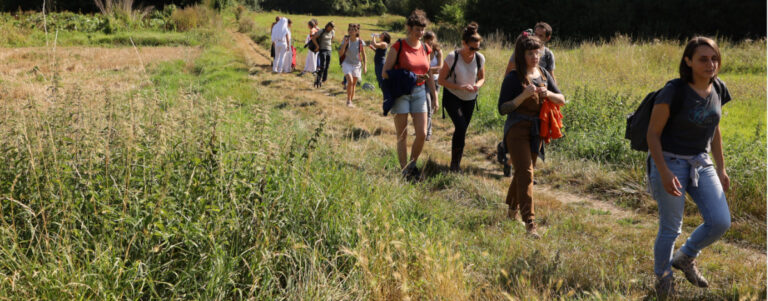 Transhumance artistique entre l'Essonne et les Yvelines.
