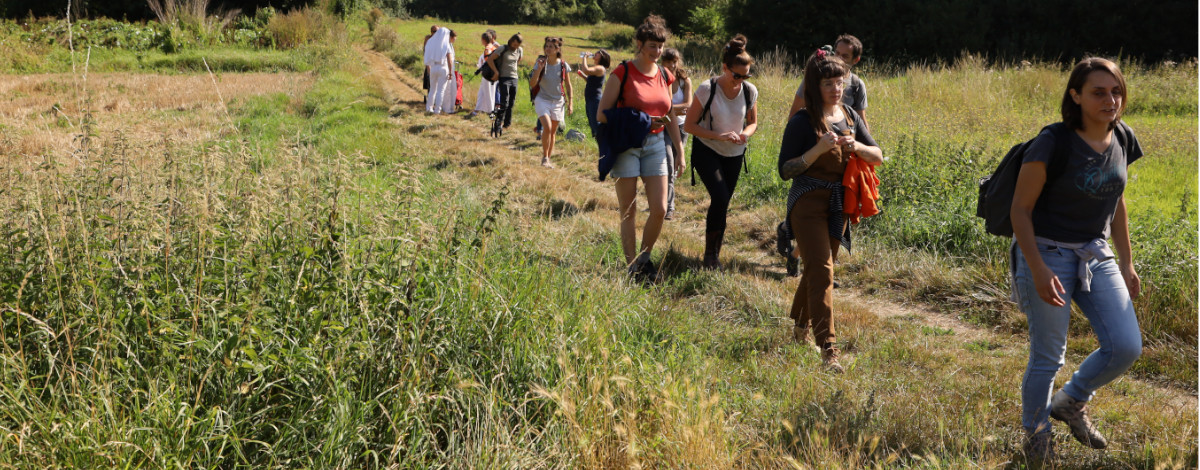 Transhumance artistique entre l'Essonne et les Yvelines.