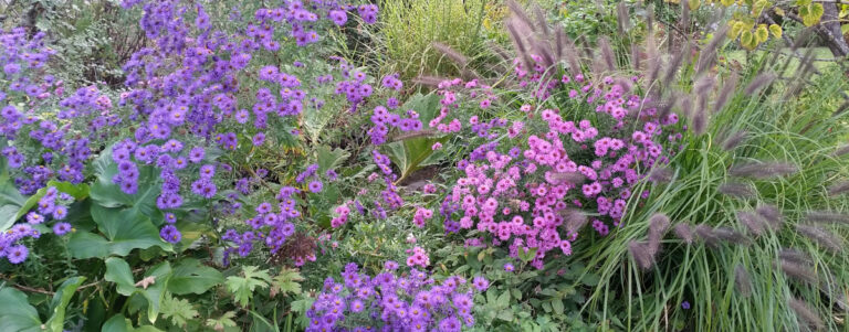 Secrets de jardins en Essonne