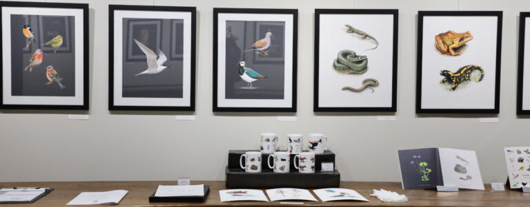 Exposition camille Dégardin à etampes.