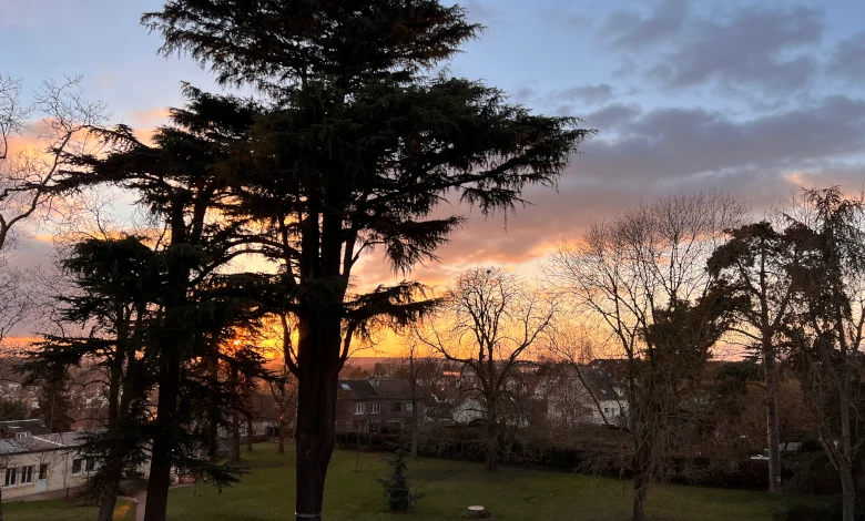 Vue depuis la mairie d'Epinay-sur-Orge (Essonne) par Jo Eterno.