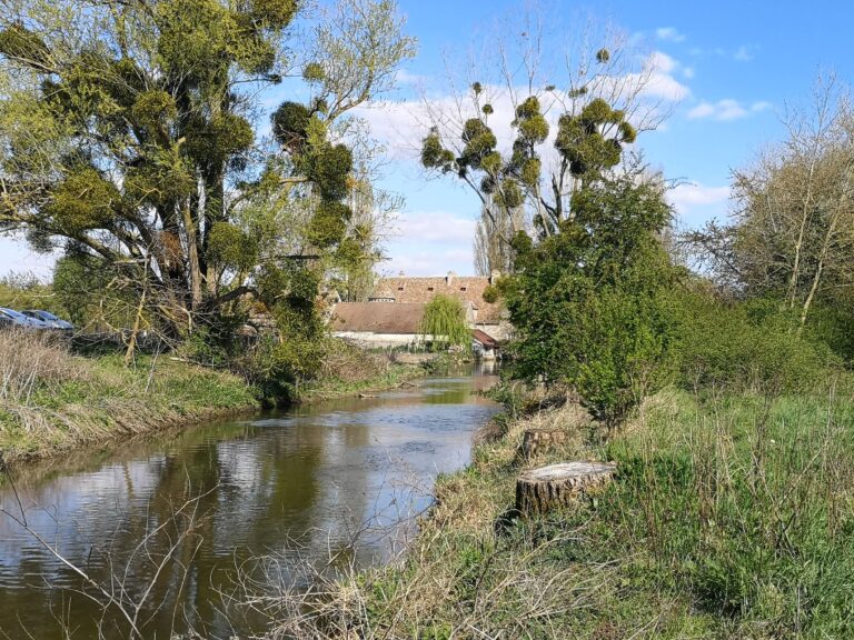 L'Orge entre Ollainville et Arpajon. Photo LC_M'Essonne