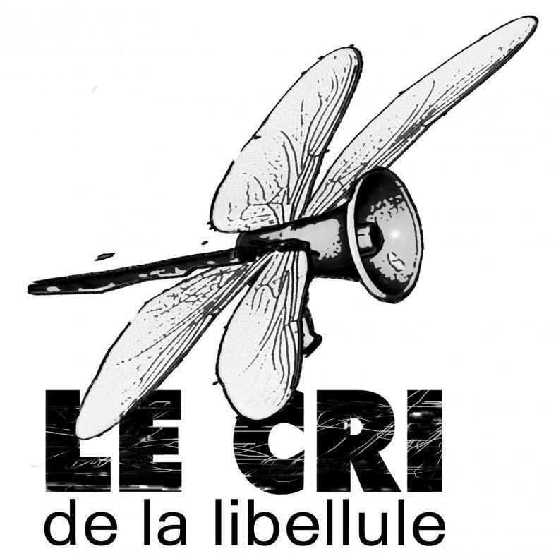 Logo association Le cri de la libellule