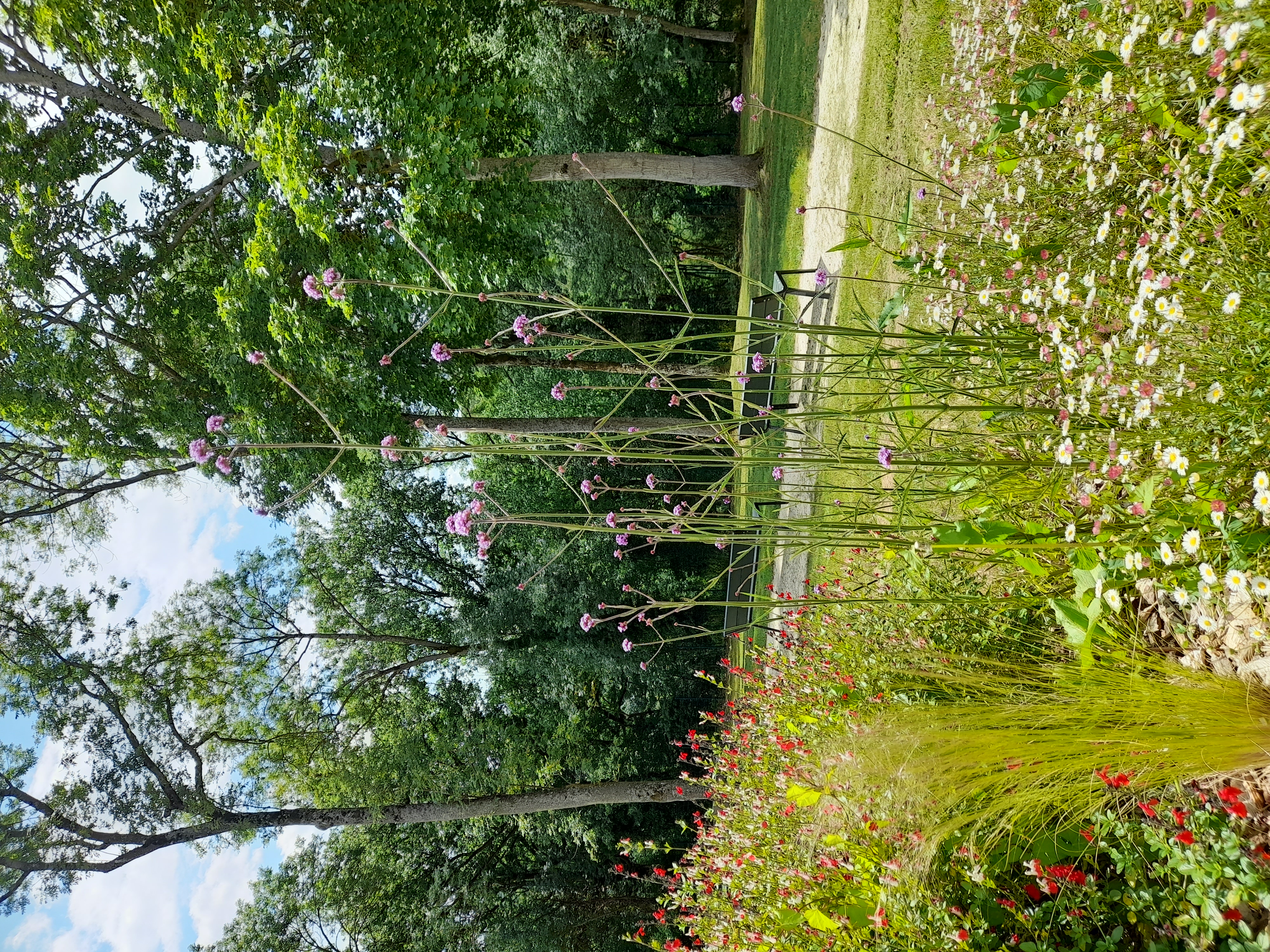 Dimanche au jardin