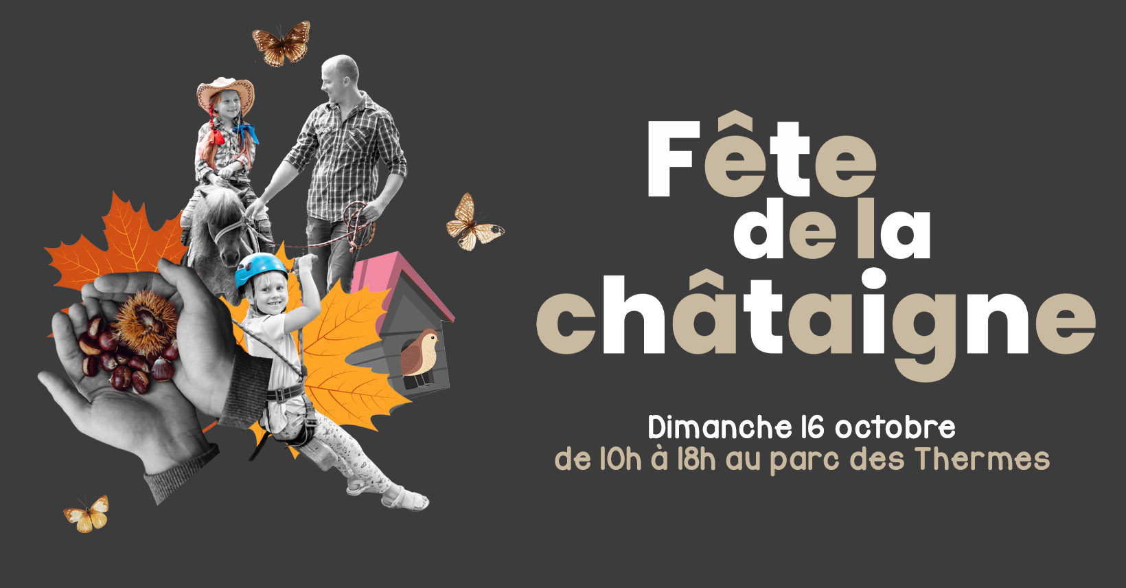 Fête de la châtaigne