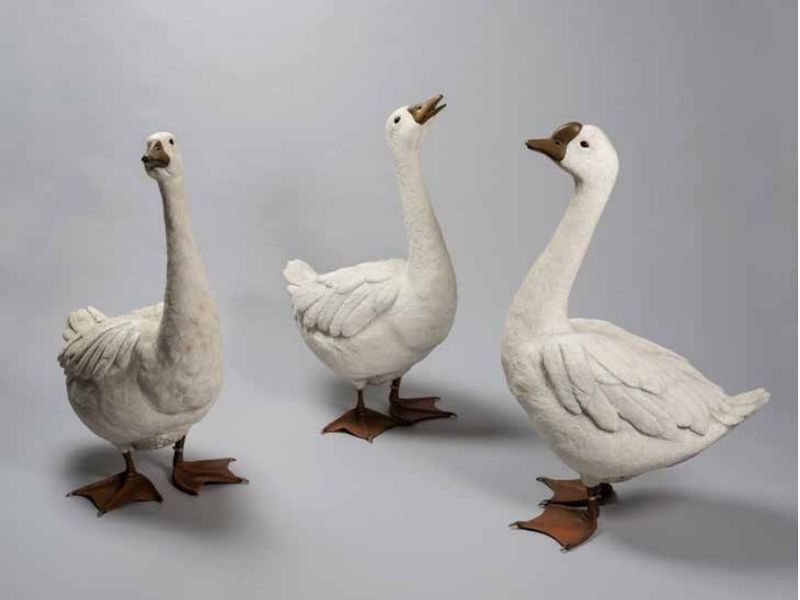 Visite familiale de l’exposition « Anima(l) »