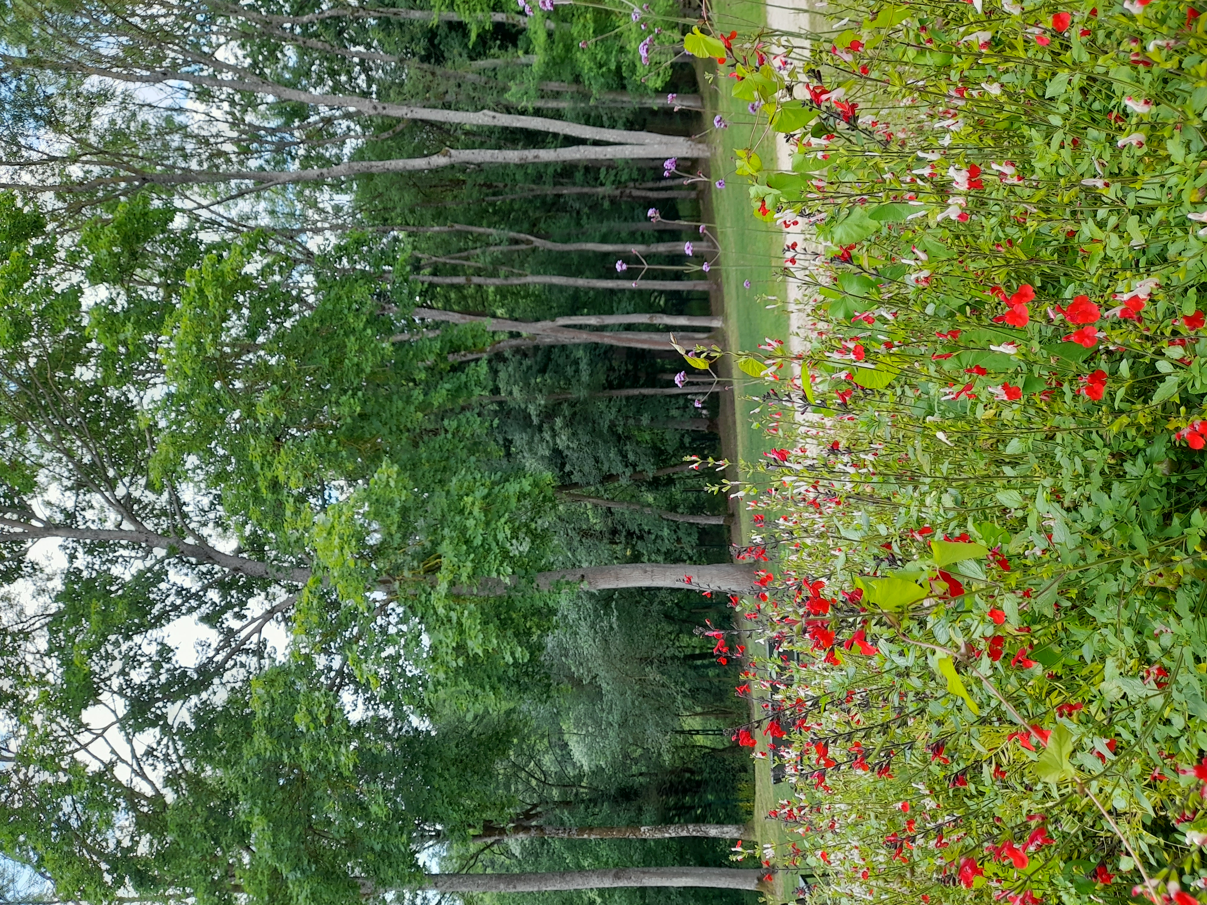 Rendez-vous aux jardins à la Maison-atelier Foujita