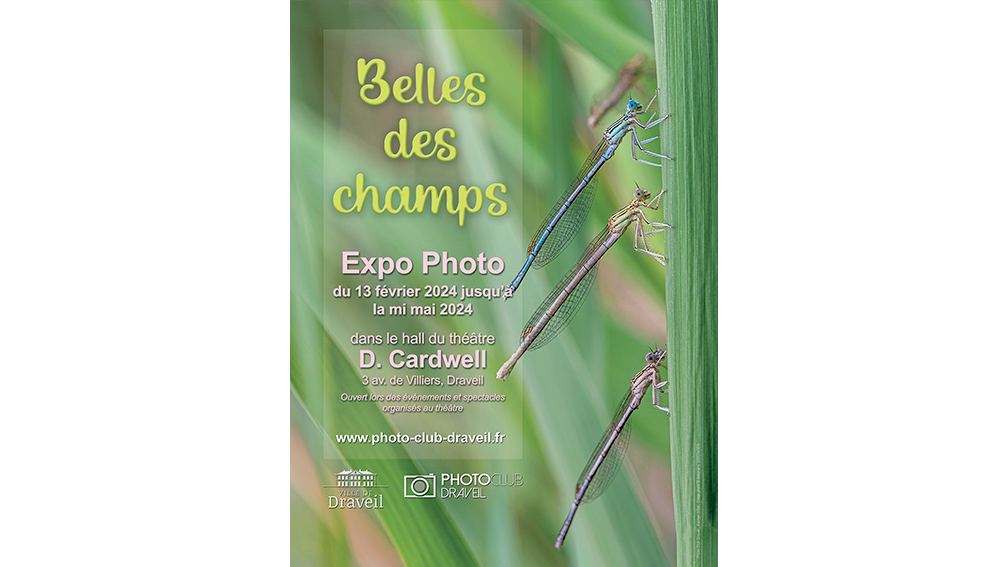 Expo photo « Belles des champs »