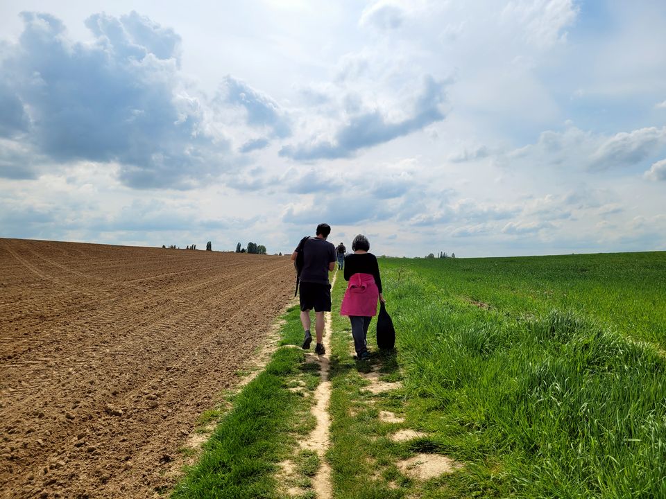 Randonnée sur les rigoles du plateau