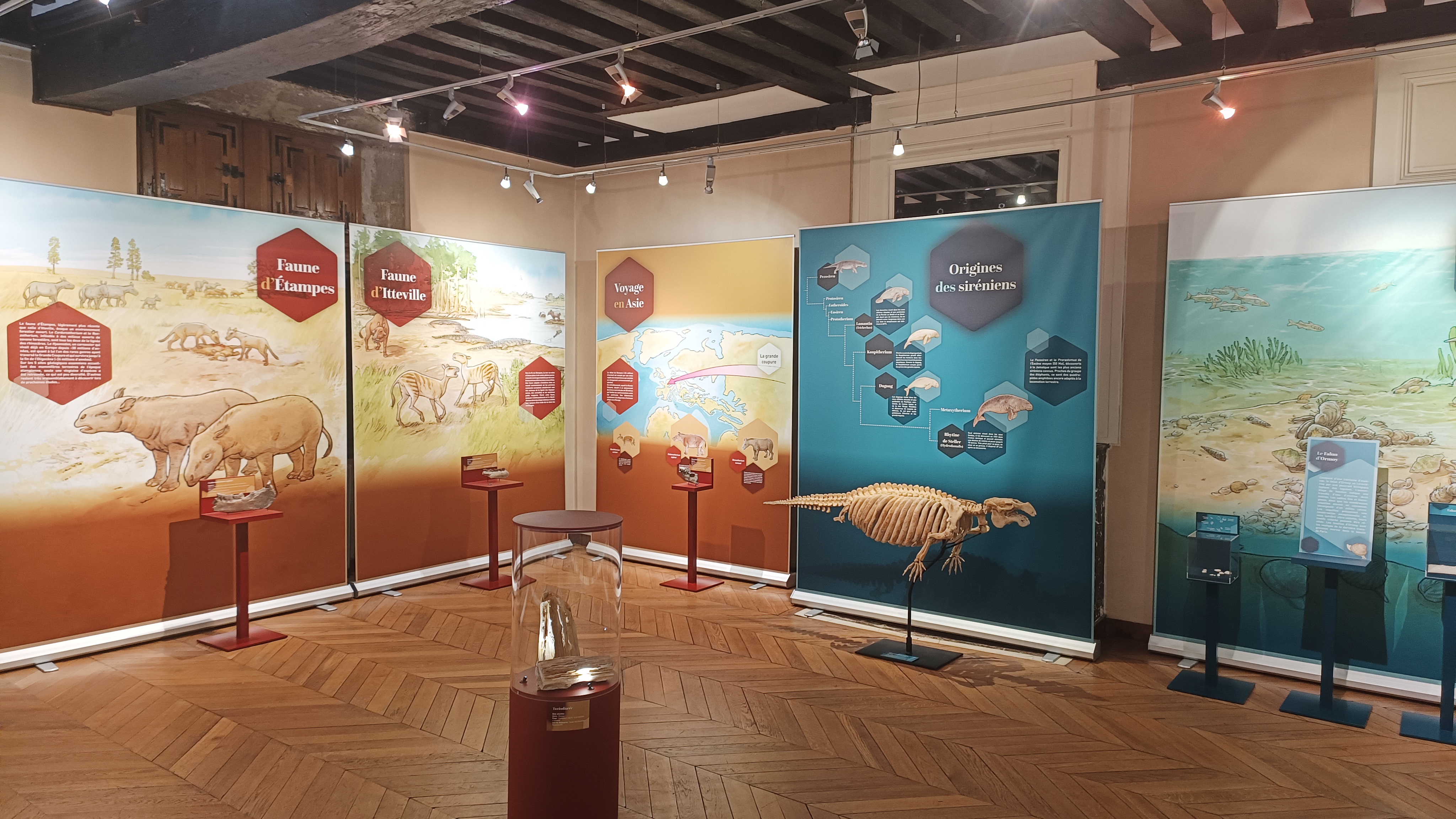 Journée Européenne du Patrimoine – Exposition 30 millions d’années, un voyage dans le passé́