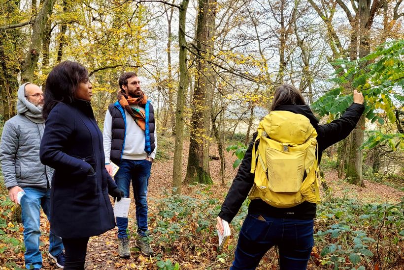 Balade à la découverte de la forêt