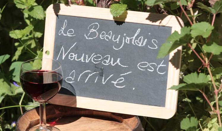 Dégustation Beaujolais nouveau