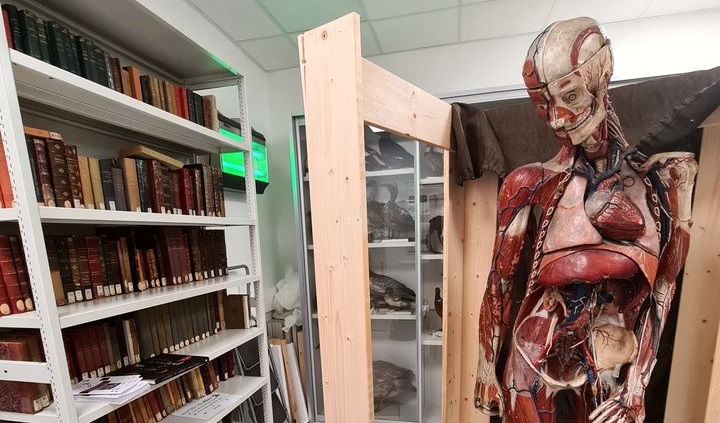 Visite des collections d’histoire naturelle de l’Université Paris-Saclay