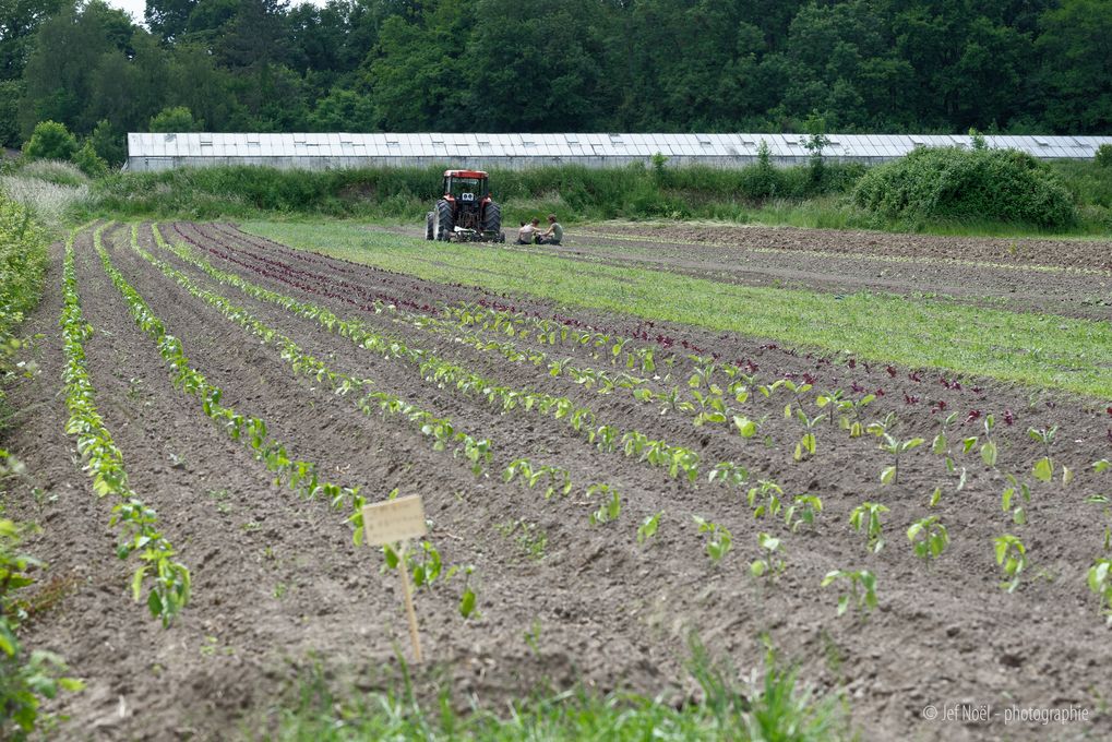 Visite et dégustation à la Ferme des potagers de Marcoussis