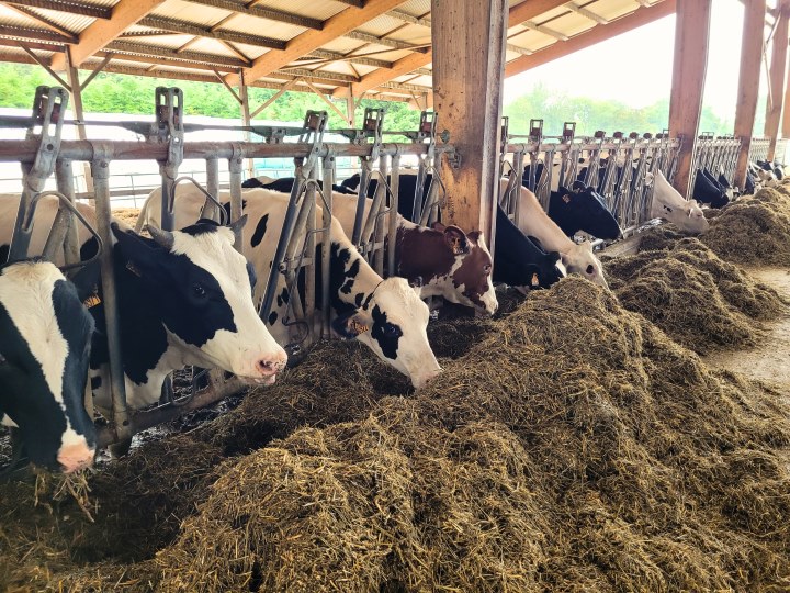 Visite de la ferme de Viltain