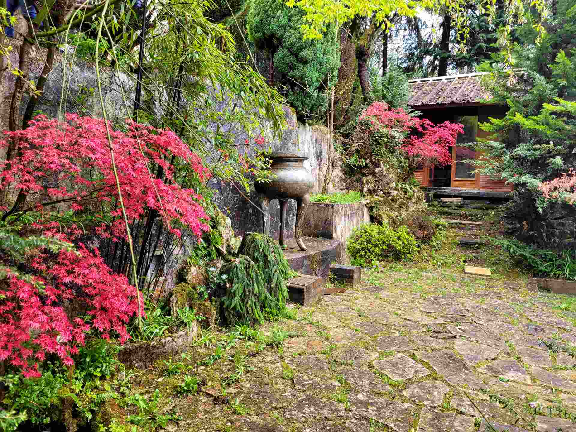 Visite et déjeuner végétarien à la Pagode vietnamienne Trùc Làm