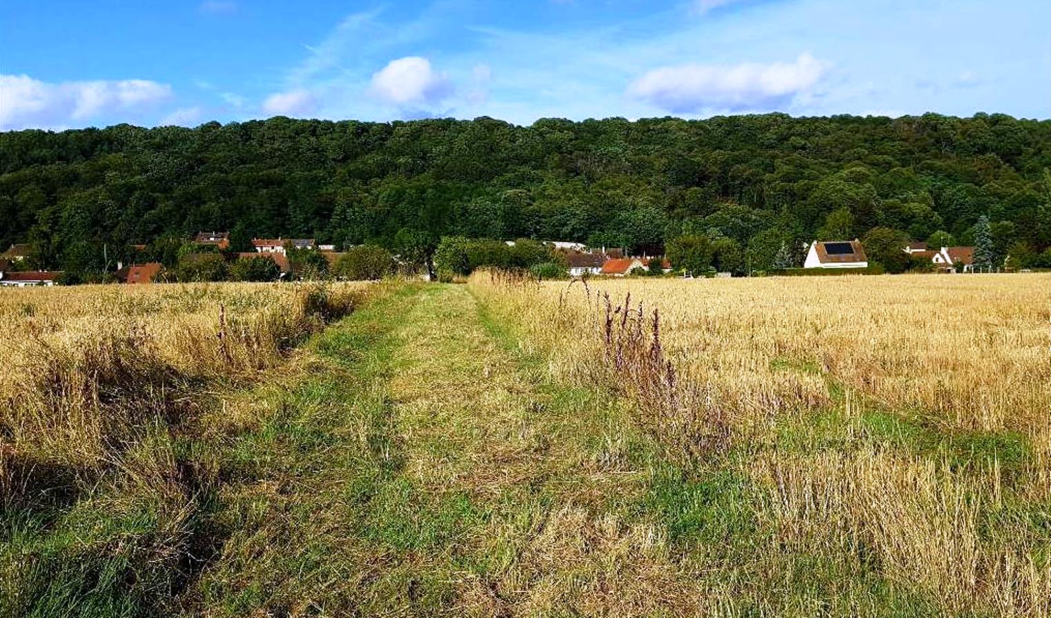 Forêt du Rocher de Saulx-les-Charteux